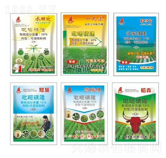 10%���׻��������M��������-ϲ�S��