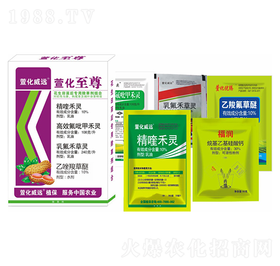 ����������ó��݄��M��-�滯����-�滯���h