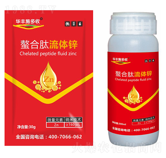 ���������w�\-�A�Sʩ���S-�滯���h