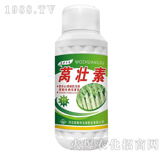 �n����-���