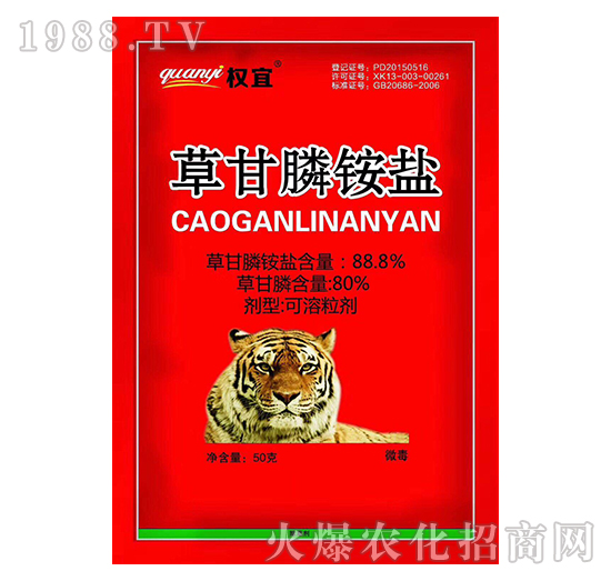 88.8%�ݸ���@�}-����-�Z��