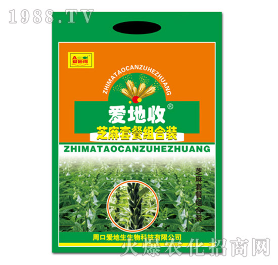 ֥���ײͽM���b-��(��i)����-��(��i)����