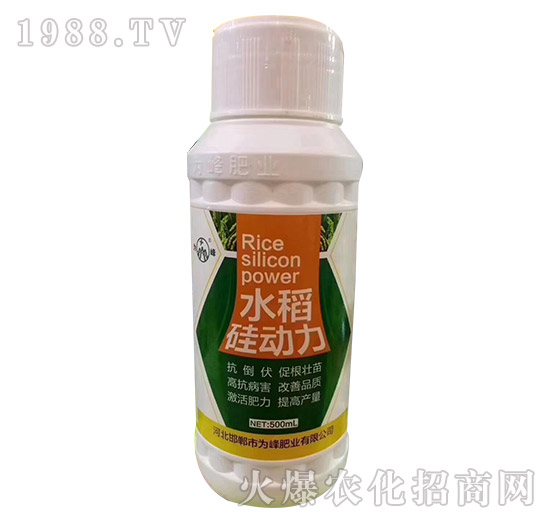 ˮ�������-���