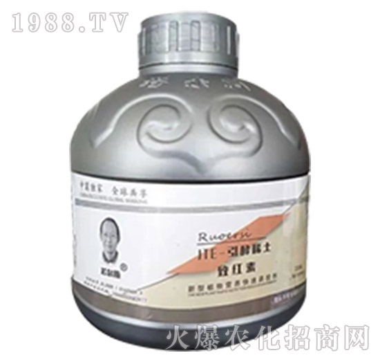 JTE-����ϡ���¼t��-����˹