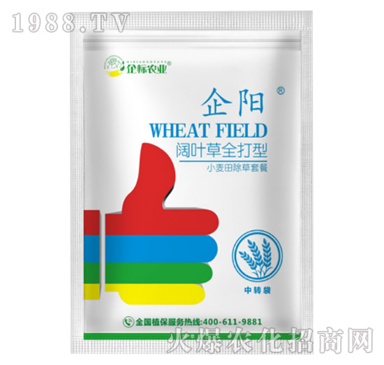 С������~�ݳ����ײ�-���-���