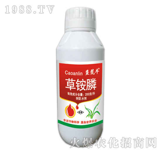 20%���@�-����ţ-�ݵ�˹