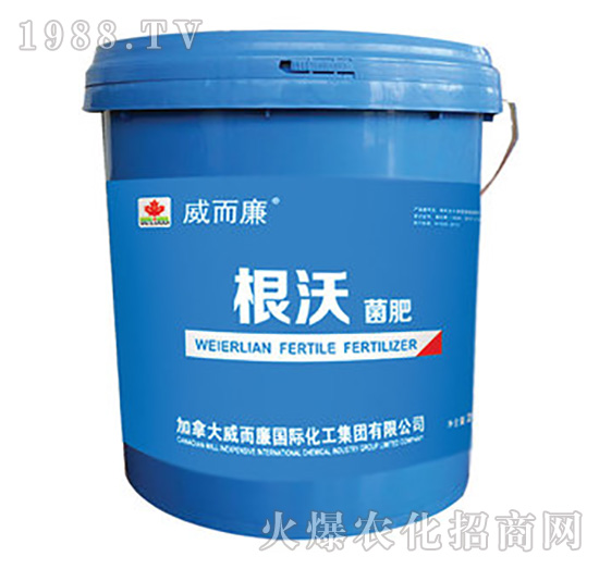 ���־���-������