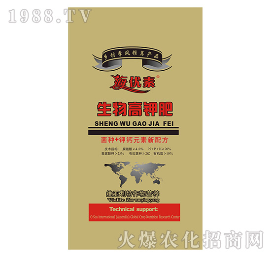 �����⛷�-�S������