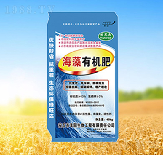 �����ЙC��-��˼��-�G���_