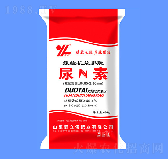 �����LЧ��������-������