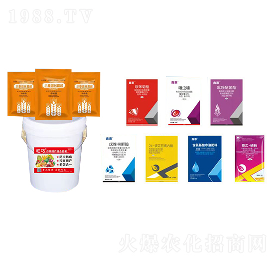 С���M���ײ�-����-�����_(d��)