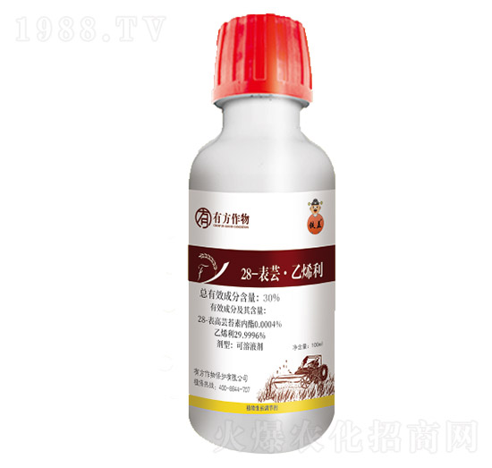 28-�����|̦�؃���-�з�����-�з�����