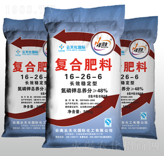 �LЧ��(w��n)���͏ͺϷ���16-26-6-���ø�