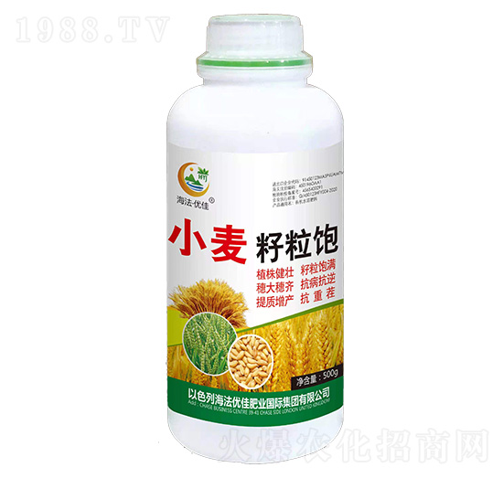 С�������-������(y��u)��