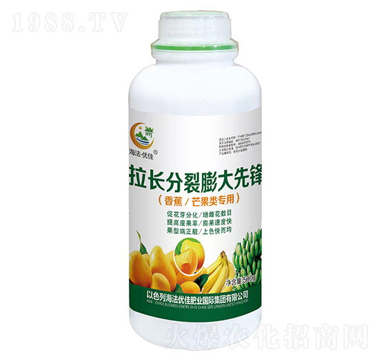 �㽶â��������L(zh��ng)����������h-������(y��u)��