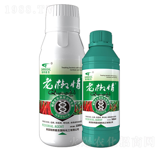 �Ͻ���-��μ�