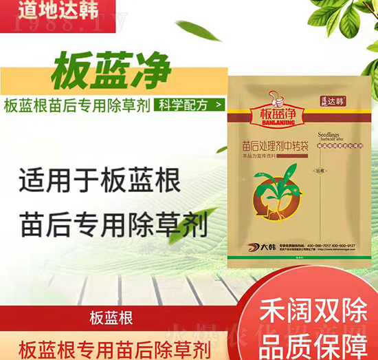 ���{(l��n)�����݄�-���{(l��n)�����-���{(l��n)����(zhu��n)��-���{(l��n)��-���n