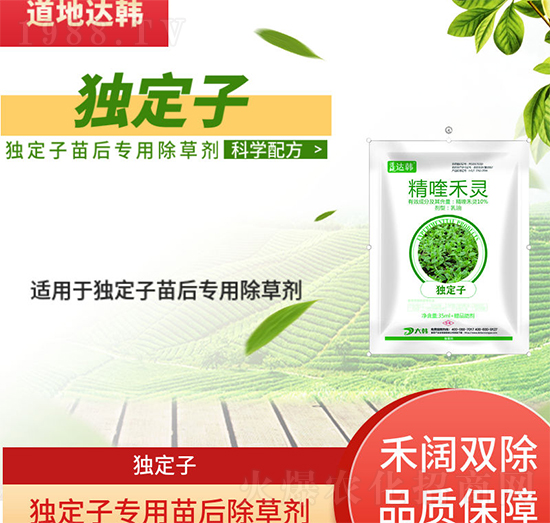 �����ӳ��݄�-���������-�����ӌ���-���n