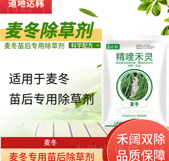 �������݄�-�������-��������-���n