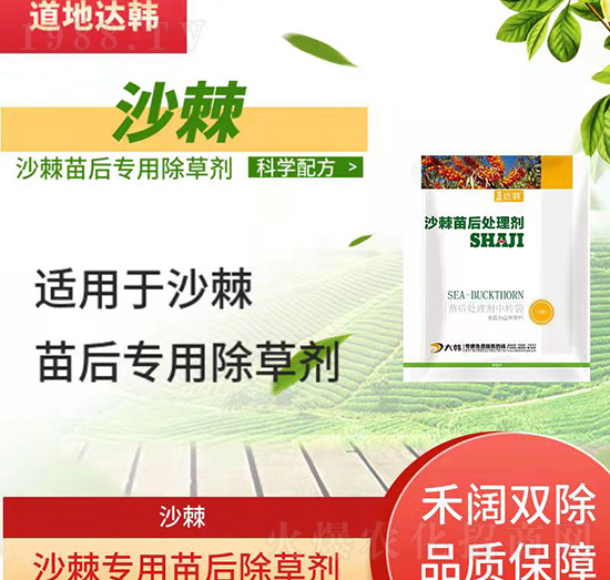 ɳ������݄�--ɳ�������-ɳ�����-���n