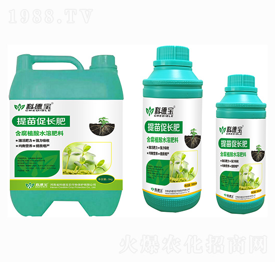 ������L��-�Ƶ�