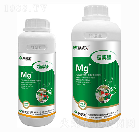 �Ǵ��V �Ƶ�