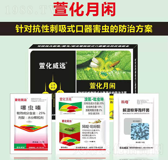 �滯���e-�滯���h