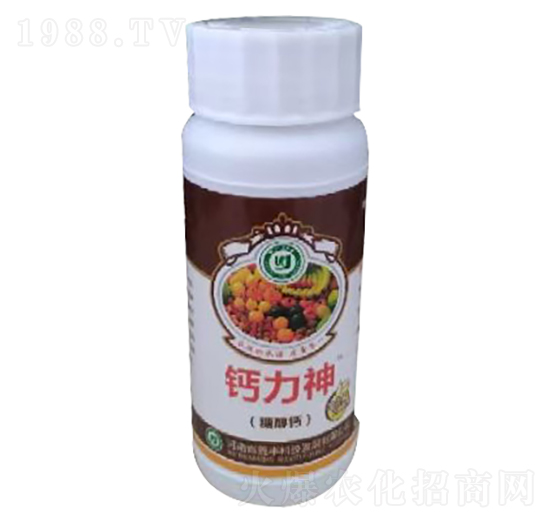 �Ǵ��}-�}����-���S�Ƽ�