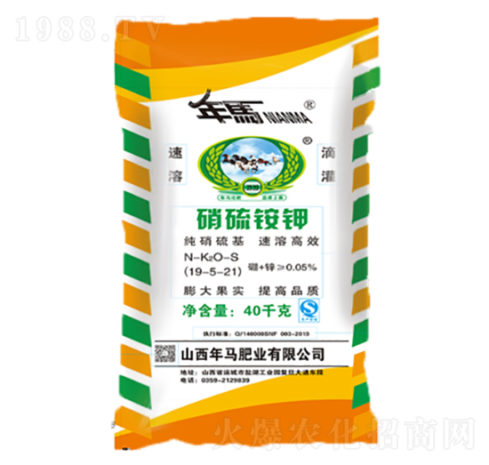 �����@�-���R�ʘI(y��)