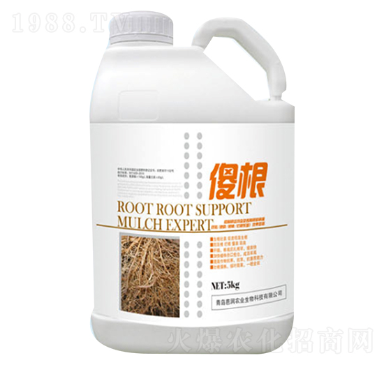 ɵ��-�ŝ�(r��n)