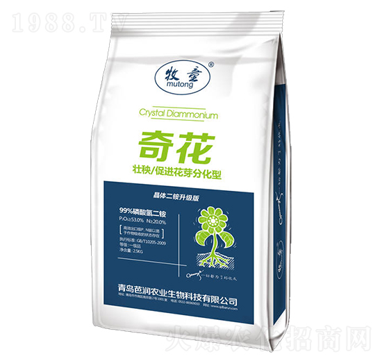 �������@-�滨-�ŝ�(r��n)