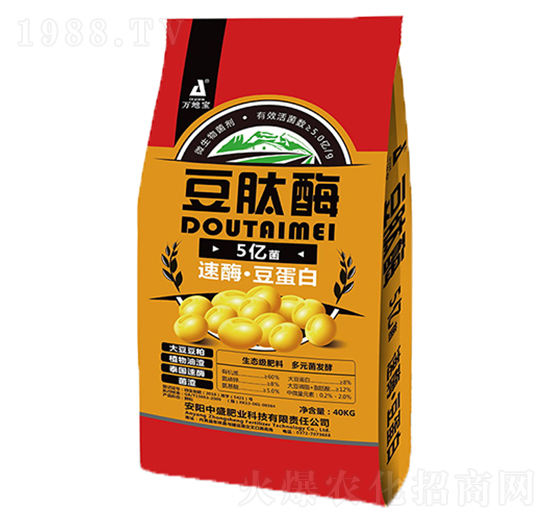 ΢�������5�|��-����ø-��ʢ�ʘI(y��)