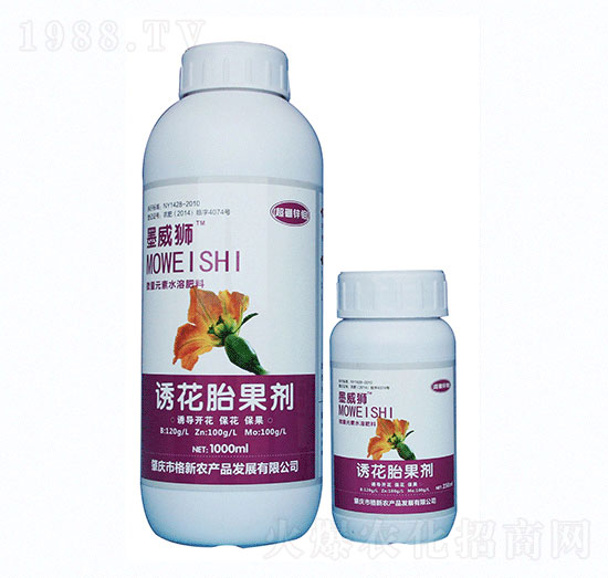 �����\�f-ī���{�T��̥����-�����r(n��ng)�I(y��)