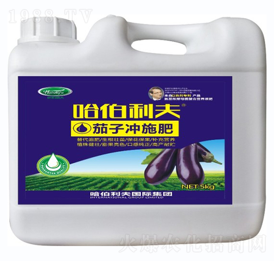 ���ӌ�(zhu��n)�Û_ʩ��-��������