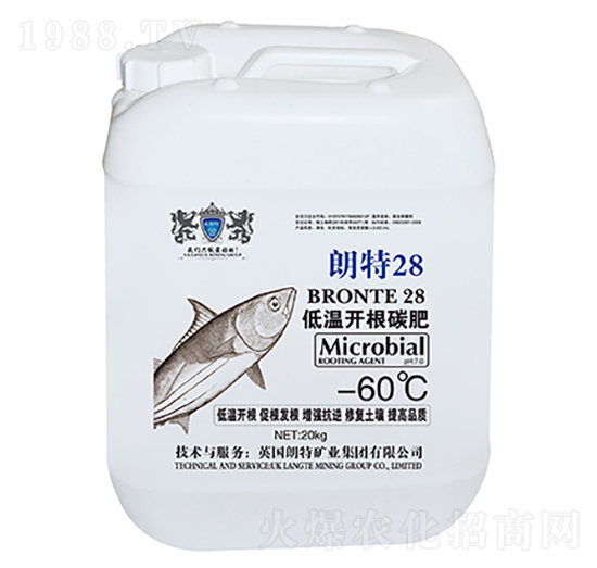 �͜��_(k��i)��̼��-����28-Ӣ����