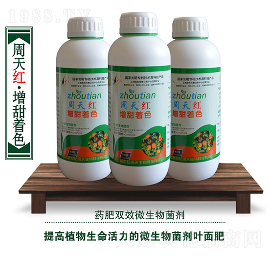 ΢�������-����t��������ɫ-��������