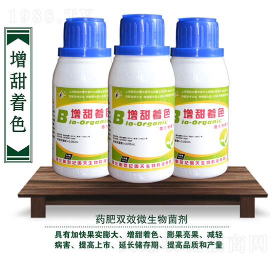 ������ɫ�~���-��������