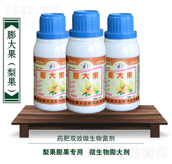 �������΢�������-����-��������