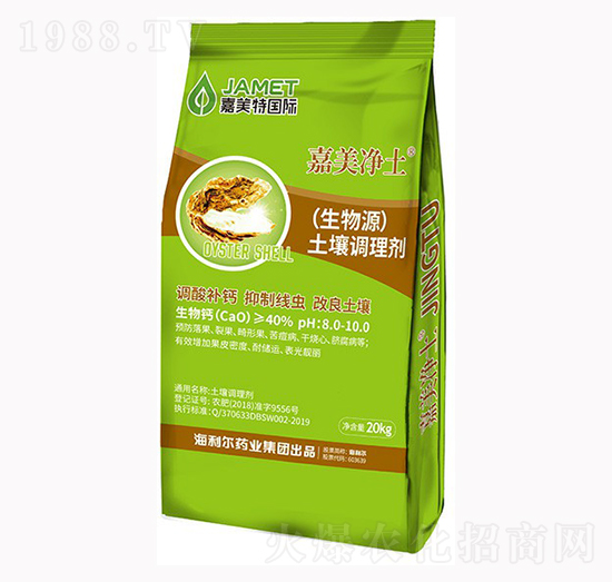 �����{�턩-��������-������