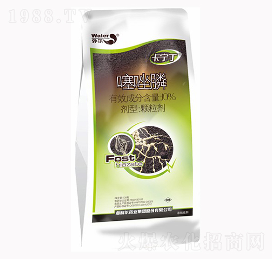 10%�����-������-������