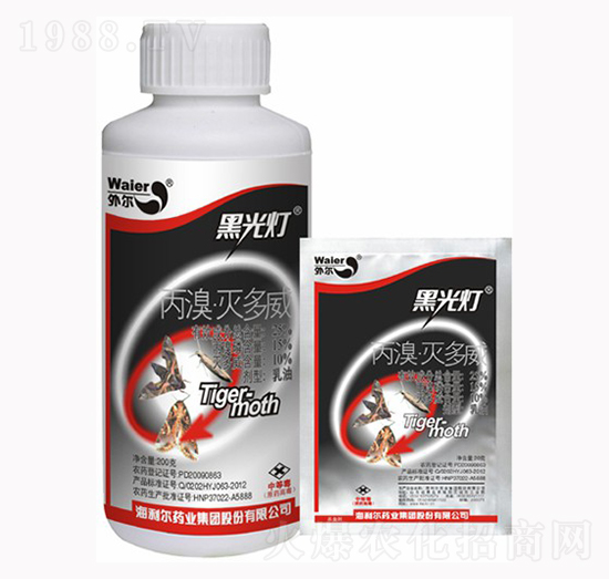 �ڹ��-��������������-������