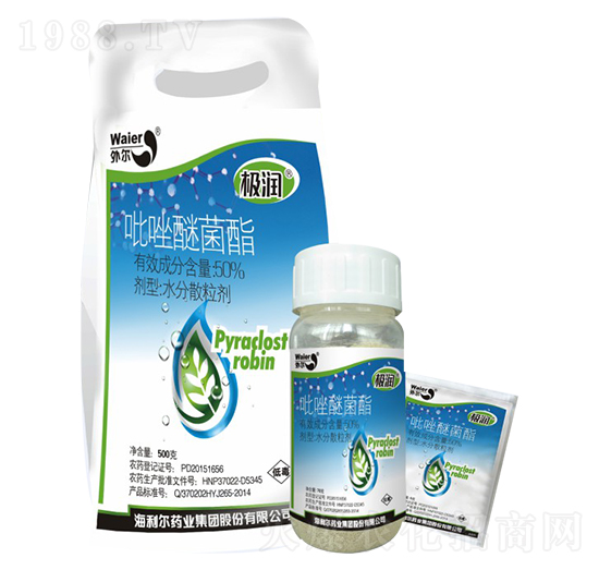 50%�����Ѿ���-�O��(r��n)-������