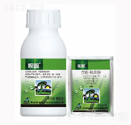 50%�����Ѿ���-�h�n-������