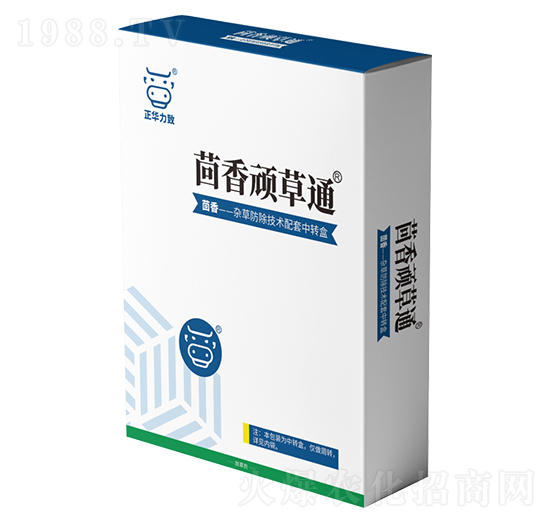 �����B��ͨ-���A����