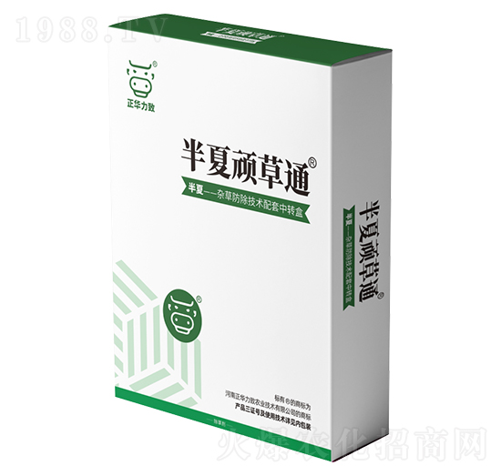 �����B��ͨ-���A����