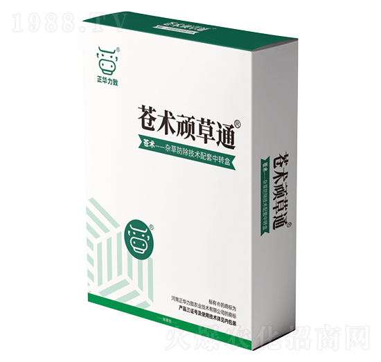 �n�g�B��ͨ-���A����