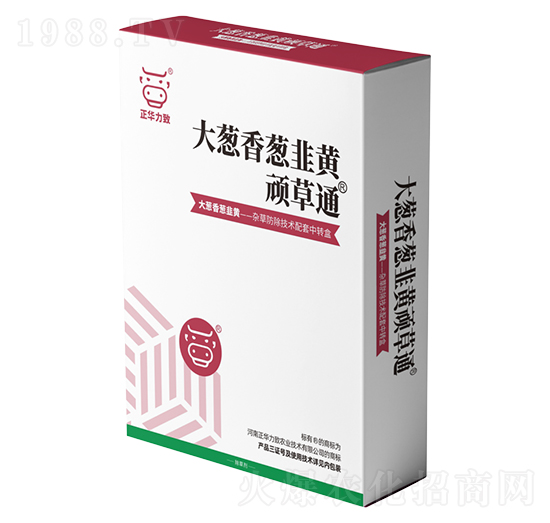 ���[�����[�����S�B��ͨ-���A����