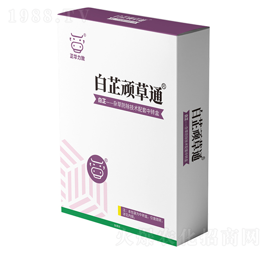 �����B��ͨ-���A����