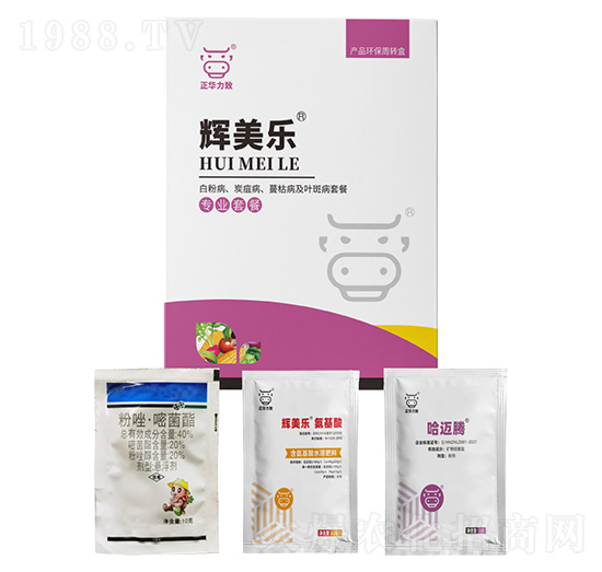 �׷۲���̿�Ҳ������ݲ����~�߲��ײ�-�x����-���A����