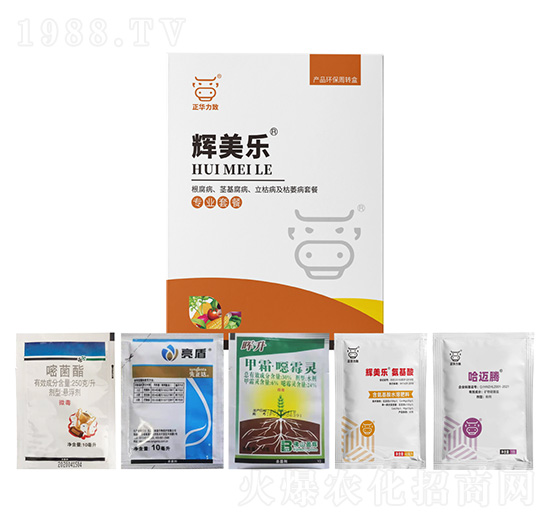 ���������o�����������ݲ�����ή���ײ�-�x����(l��)-���A����